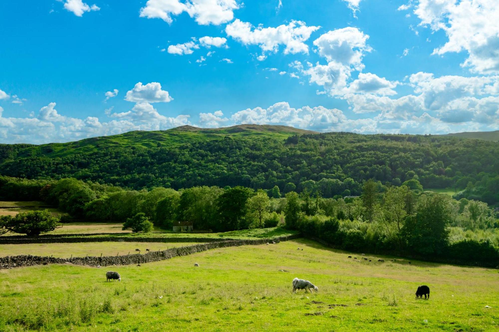 Bridge End Farm Cottages Boot Bagian luar foto